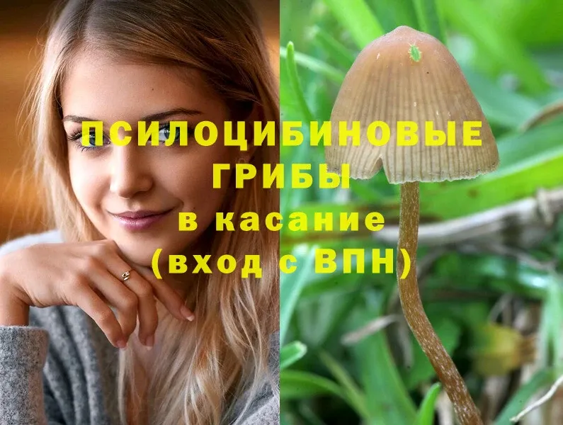 Галлюциногенные грибы GOLDEN TEACHER  хочу   Макушино 